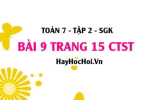 Bài 9 trang 15 Toán 7 Tập 2 Chân trời sáng tạo